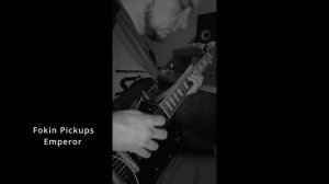 Fokin pickups vs Seymour Duncan