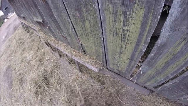 Про коров и сенокос // Жизнь в деревне. смотреть онлайн