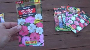 ДВУЛЕТНИЕ ЦВЕТЫ КОТОРЫЕ ПОРА БЫЛО СЕЯТЬ УЖЕ ВЧЕРА