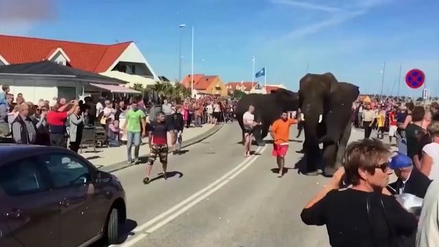 Реальный Таиланд: Интересные Факты о Таиланде смотреть онлайн