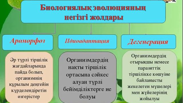 Макроэволюция. Эволюциялық процестің негізгі бағыттары мен жолдары смотреть онлайн