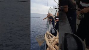 Рыбалка в Японском море. Подъём Карифены на борт. 26.06.2021г.