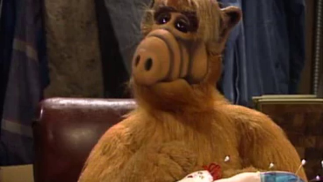 Альф 4 11. Бенджи грегори альф. Альф это кукла или актер. Миссис окмонек альф. Альф все строят дома.