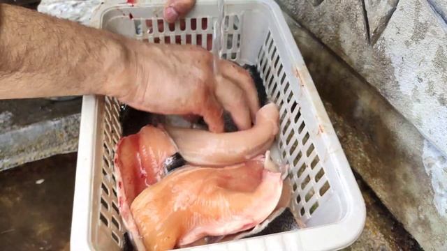 Wonderful camping stove - FERA смотреть онлайн