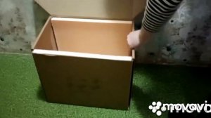 Простой и надёжный способ, упаковки Гармони и не только.