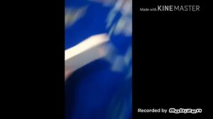 Трюковой самокат из картона своими руками (2 часть)