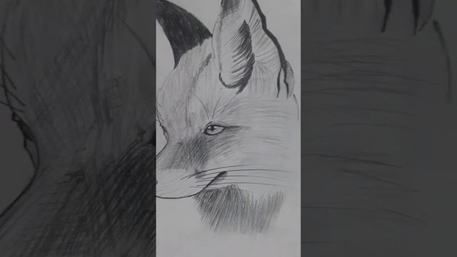 amazing realistic wolf 🤯 #art #drawing #sketch #realistic #animals #wolf