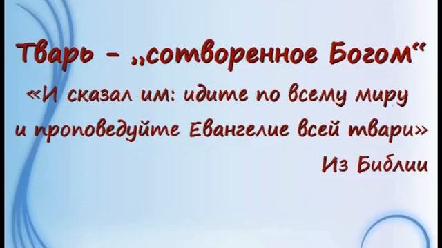 Слова, изменившие свое значение