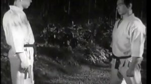 Демонстрация техник самозащиты. Карате шотокан.