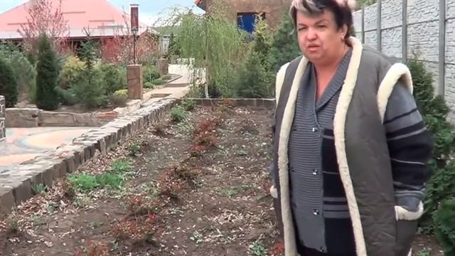 Розы. Как Правильно Заложить Розарий. Условия Хорошего Цветения Роз смотреть онлайн