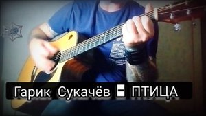 Гарик Сукачёв _ Птица. Кавер под гитару.