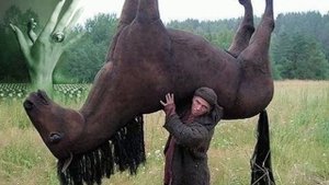 ЖАРИЩА (БУСТИ)