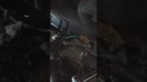 Замена тормозной трубки Рено Меган 2