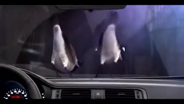 New Kia Rio 2012 рекламный ролик смотреть онлайн