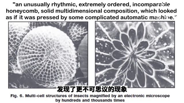 初代反重力平板飞行器：苏联科学家维克多从甲壳虫翅膀获得秘密！ смотреть онлайн