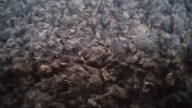 ШОК !!!! НЕВЕРОЯТНОЕ ПУТЕШЕСТВИЕ НА ФЕРМУ !!!