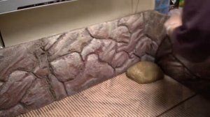 террариум для сухопутной черепахи недорого с Алиэкспресс