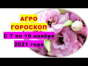 Агрогороскоп с 7 по 10 ноября 2021 года