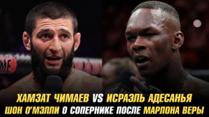 Хамзат Чимаев против Исраэля Адесаньи / Шон О’Мэлли о сопернике после боя с Марлоном Верой