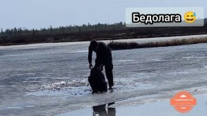 Особенности ЯМАЛЬСКОЙ охоты 2022г. весна охота на Гуся и Утку