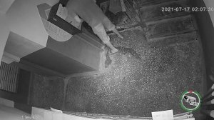 50я квартира хватит уже ссать в подъезде!