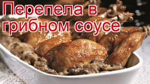 Рецепты из перепела - как приготовить перепела пошаговый рецепт - Перепела в грибном соусе