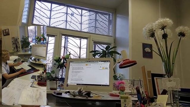 В Стоматологи г. Электросталь отказываются лечить безоплатно по ОМС и оскорбляют посетителей. смотреть онлайн