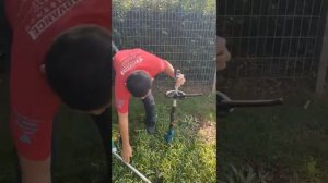 Makita Cordless Grass Trimmer DUR190 / 191 Demonstration, Makita MCP Dealer Johor, Malaysia