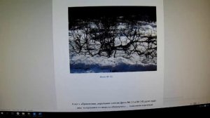 Валерий Железов. Автор читает опубликованные ранее статьи. Глава 9 "Укрытие персиков на зиму"