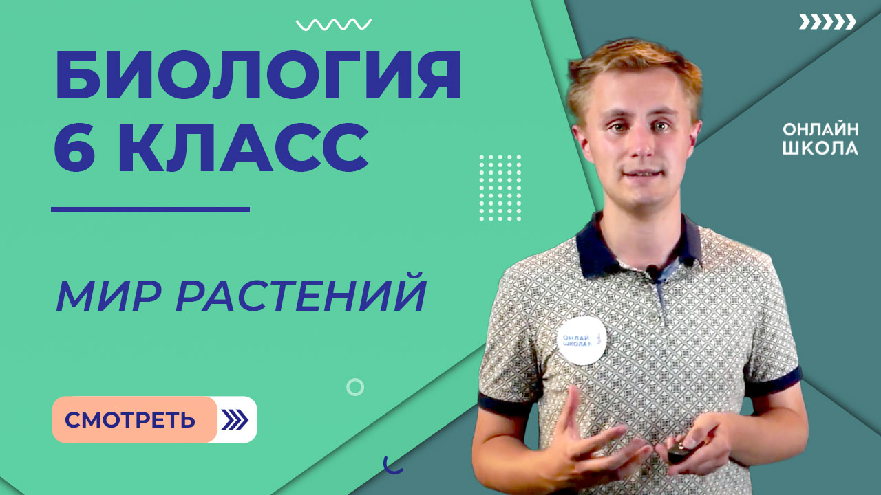 Мир растений. Видеоурок 1. Биология 6 класс
