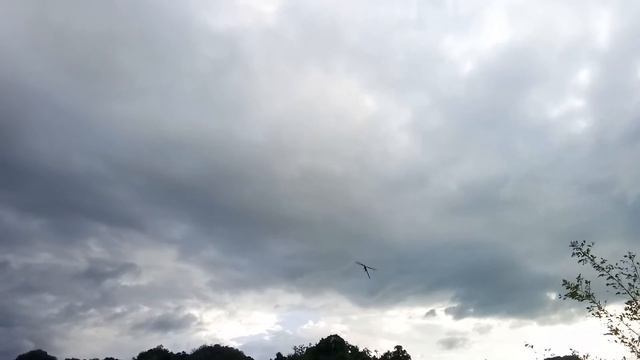 Xlpower 700 AZ700 RT106 @fluke смотреть онлайн