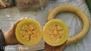 Экзот - чудо Тыква ТРОМБОН с необычными своими свойствами. Просто одно удивление.