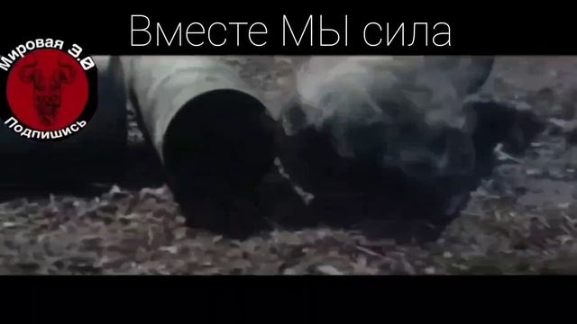 Русский независимый информационный проект