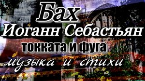 МУЗЫКА И ПОЭЗИЯ. Токката и фуга ре минор BWV 565 Иоганн Себастьян Бах #музыка #стихи #токката_и_фуга