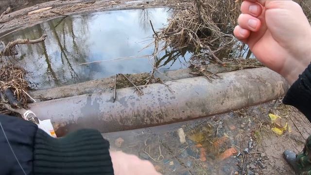 Хорошая рыбалка весной на поплавок в проводку. смотреть онлайн