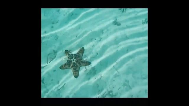 Labuan Bajo - NTT - Indonesia смотреть онлайн