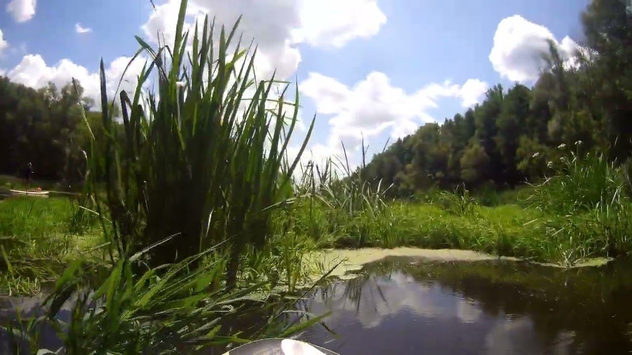 SUP заблудился смотреть онлайн