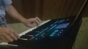 Играю по памяти.Medeli akx 10.