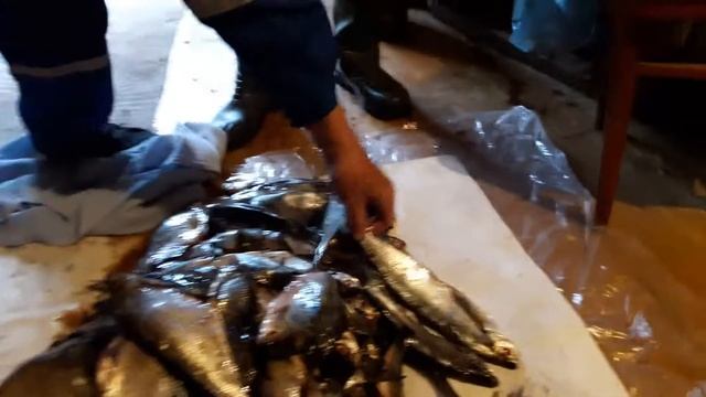 Рыбалка в Весьегонске2017(эпилог) смотреть онлайн