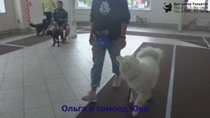 Занятие по дрессировке (группа начального послушания): обучение собак движению рядом. Тольятти, 2019