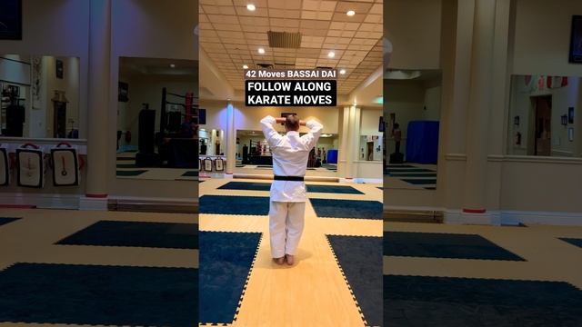 Advanced Karate moves follow along BASSAI DAI  : 42 moves Shotokan Kata