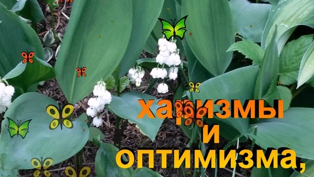 С ДНЕМ БУХГАЛТЕРА 21 ноября! ???Красивое поздравление