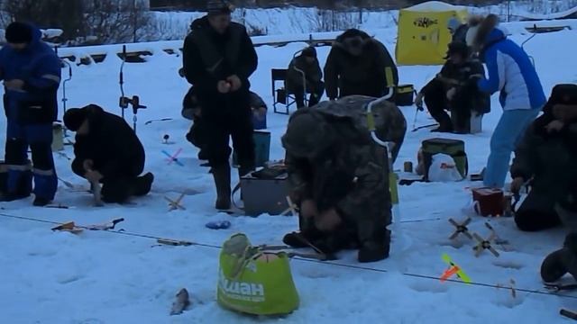 Стрелецкий Ручей 12/01/2019 смотреть онлайн