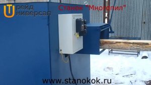СТАНОК МНОГОПИЛЬНЫЙ ДМС-500