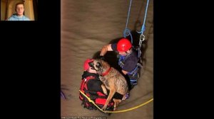 Спасатели спасли пса и его владельца из воды, но то, как пёс отблагодарил их, просто невероятно