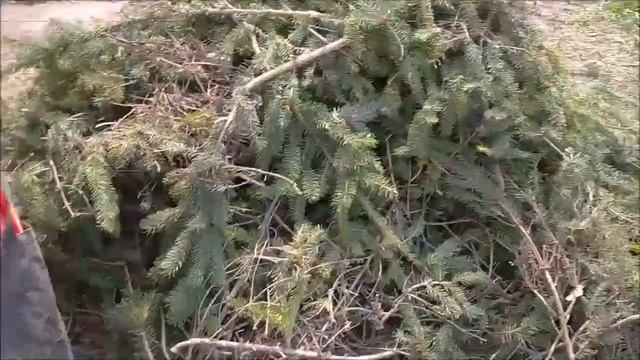 Садовый измельчитель Калибр ЭСИ-2400Н 2,4кВт на пределе возможностей смотреть онлайн