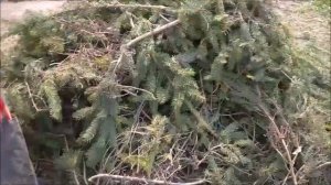 Садовый измельчитель Калибр ЭСИ-2400Н 2,4кВт на пределе возможностей