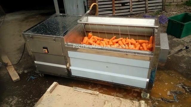 Машина чистки моркови от кожуры GB от РостПищМаш