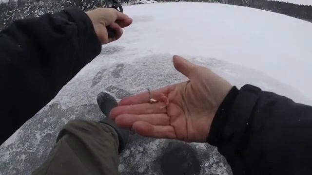 Моя первая зимняя рыбалка на форель в моих родных местах смотреть онлайн