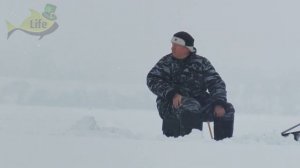 Как заставить карася клевать зимой? Клюет ли карась зимой? Секрет ловли карася зимой.